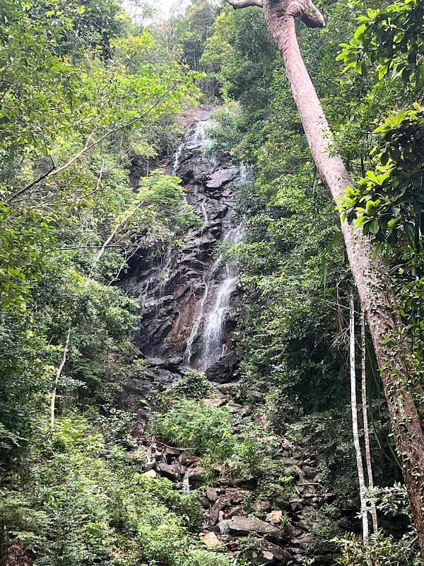 Than Sadet-Ko Pha-Ngan Sok National Park - Image 1