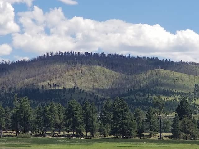 Greer Lake Picnic Area - Image 2