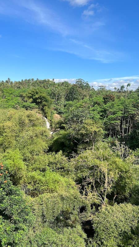 Coban Tegaron - Image 1