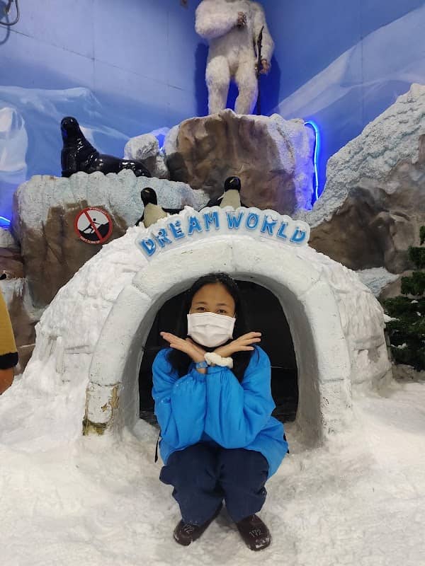 Snow Town - Image 2