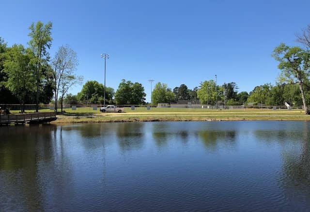 Lions Park - Image 1