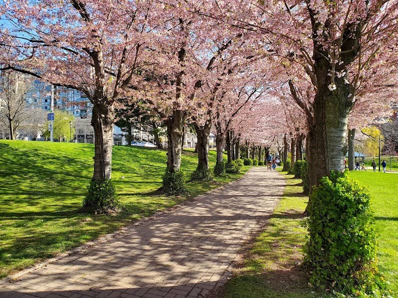 Spencer Smith Park - Image 1