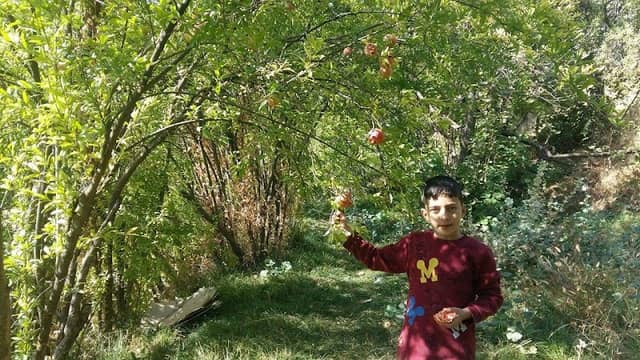 Child park - Image 1