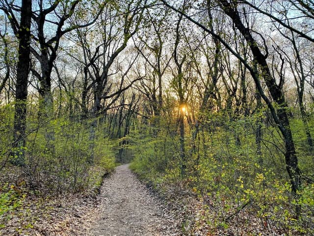 Indiana Dunes National Park Mount Baldy - Image 2