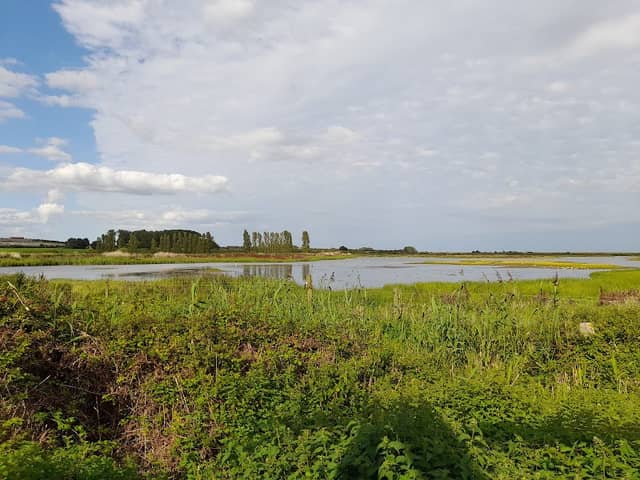 Bird Hide - Image 1