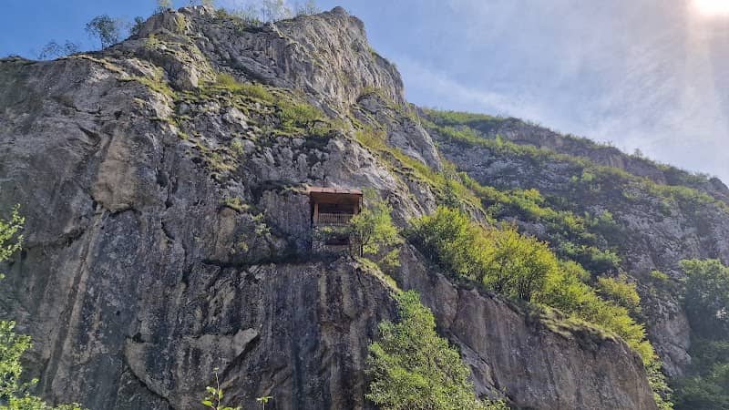Pădurea bicoloră (Cheile Tăii) - Image 2