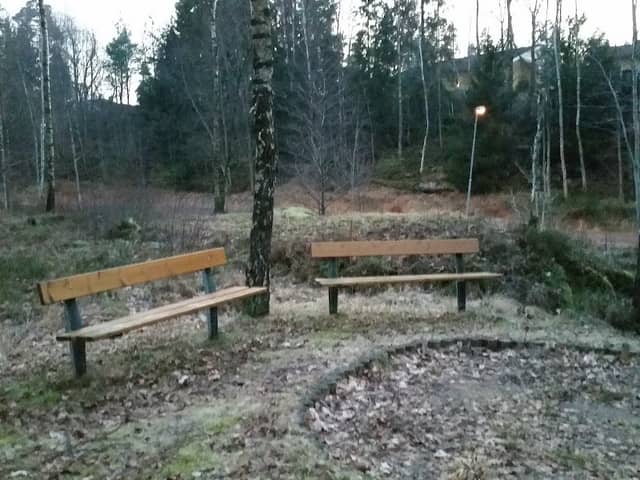 Forest Benches - Image 2