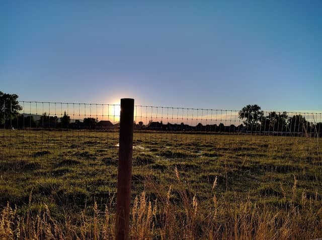 Olga Anson Park - Image 1