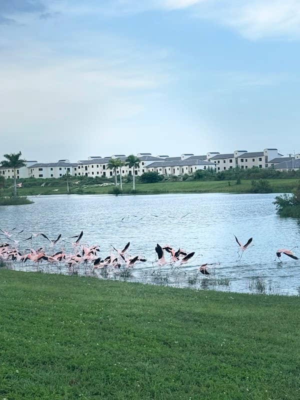 Lake Flamingo - Image 1
