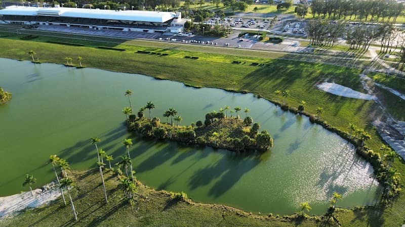 Lake Flamingo - Image 2