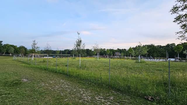 Parkplatz - Image 2