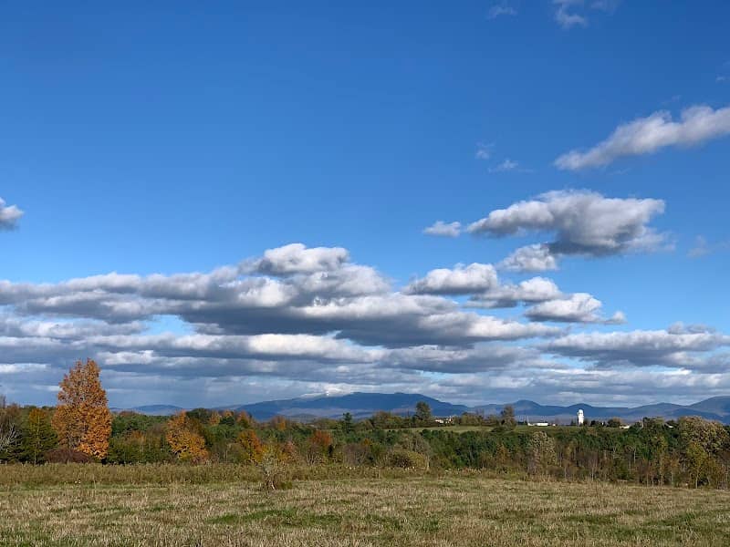 Wheeler Nature Park - Image 2