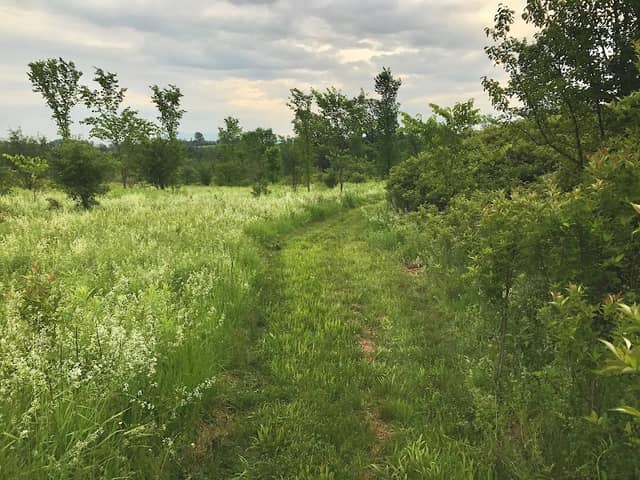 Wheeler Nature Park - Image 1