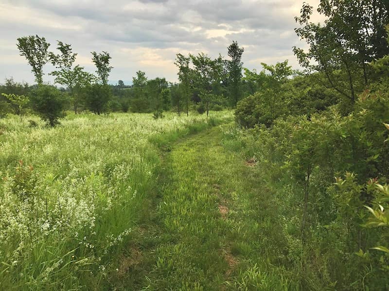 Wheeler Nature Park - Image 1