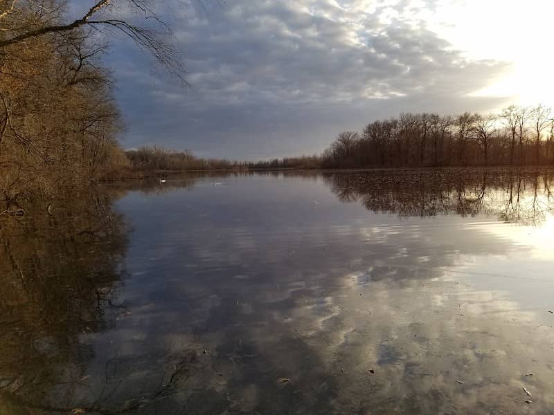 Arlington Wetlands - Image 1