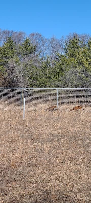 Sundet Park and dog park - Image 1