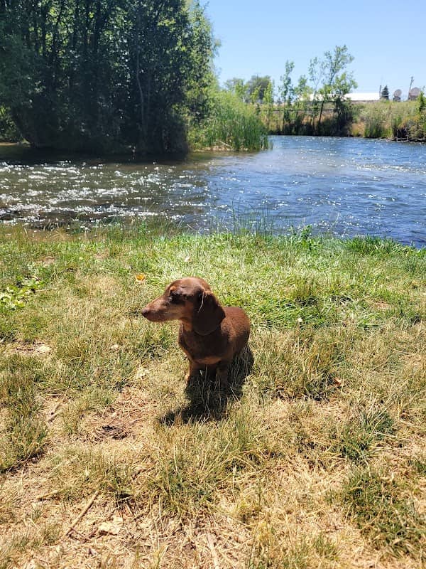 Indian Creek Float End - Image 1