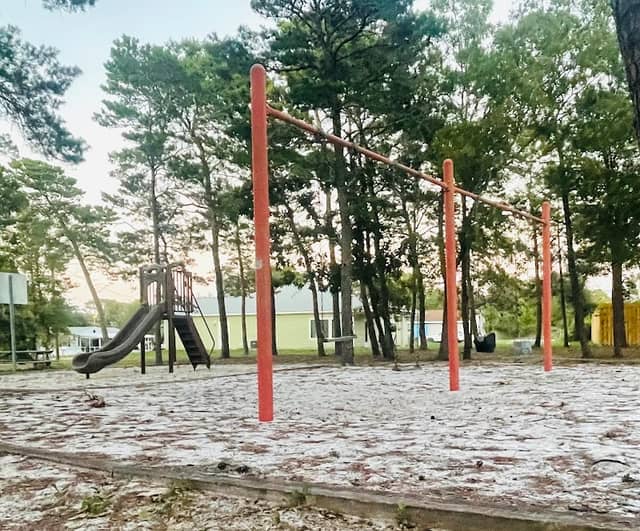 Cypress Tree Park - Image 1