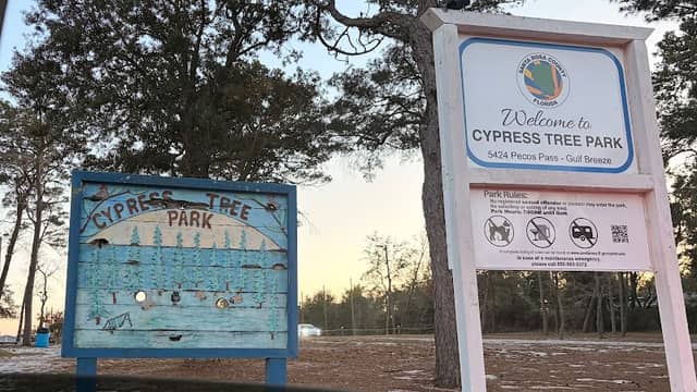 Cypress Tree Park - Image 2