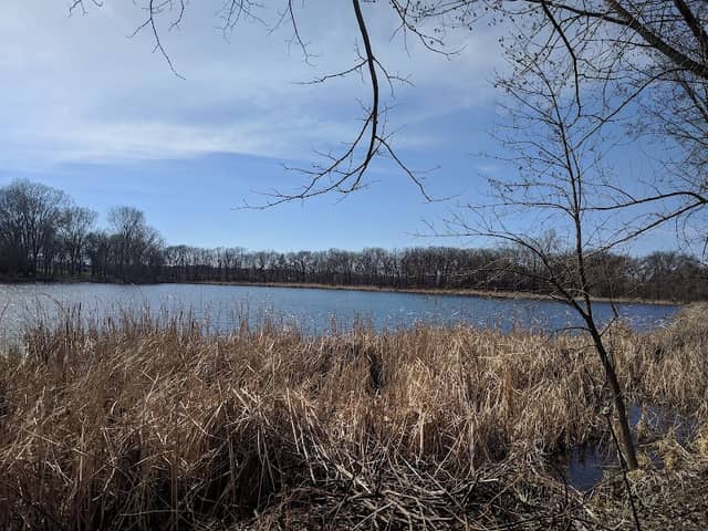 Timber Shores Park - Image 3