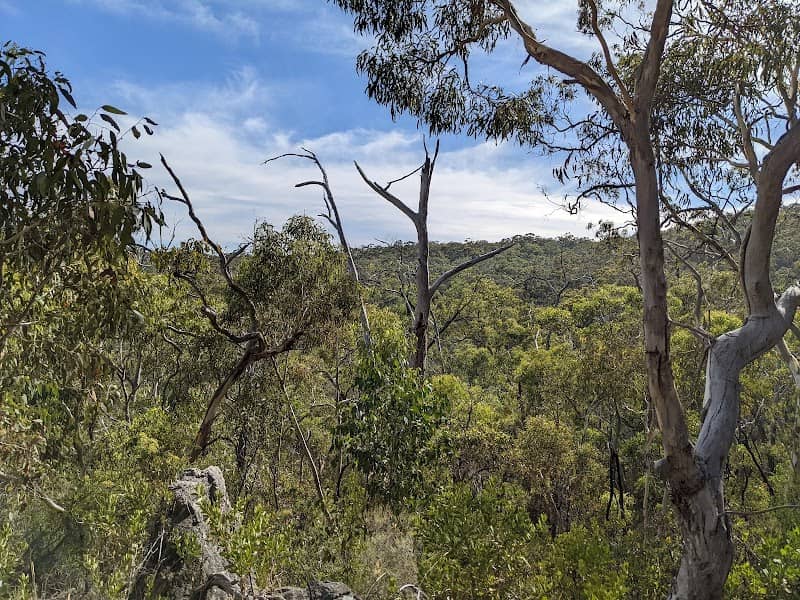 Belair National Park - Image 2