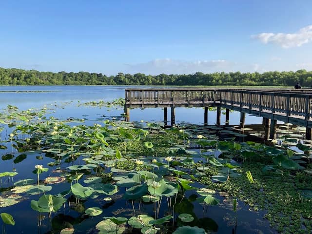 Cullinan Park - Image 2