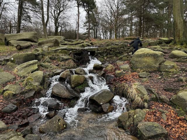 Toad's mouth - Image 1