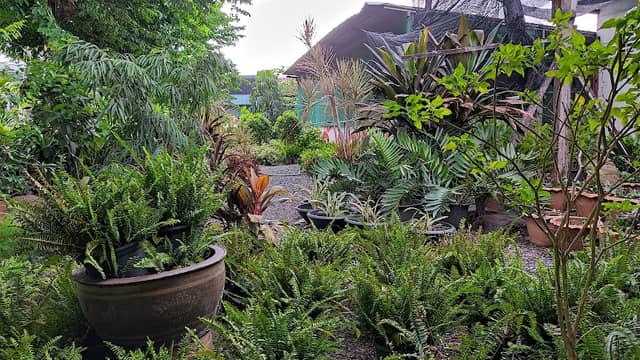 Bangkhen Garden - Image 2