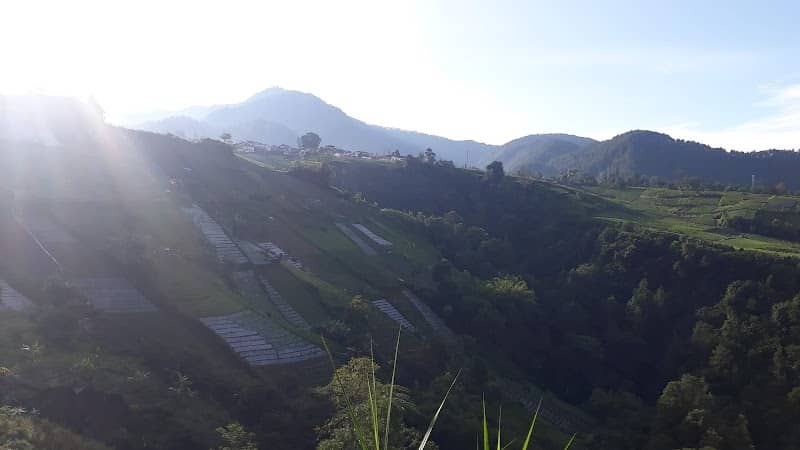 Pancot Rice Terrace - Image 2