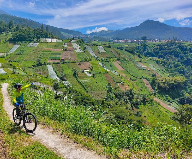 Pancot Rice Terrace - Image 3