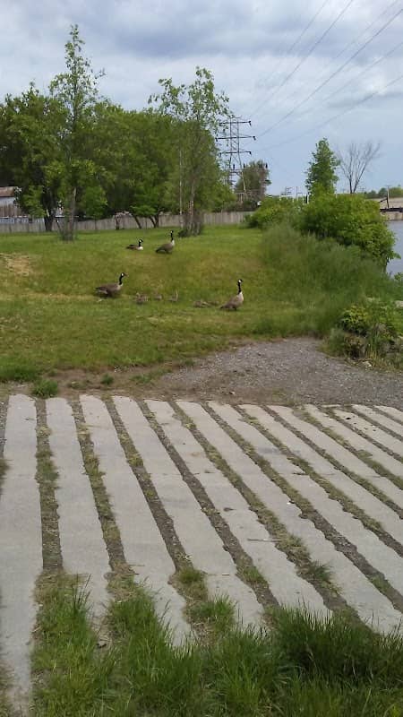 Crescent Place Park - Image 2