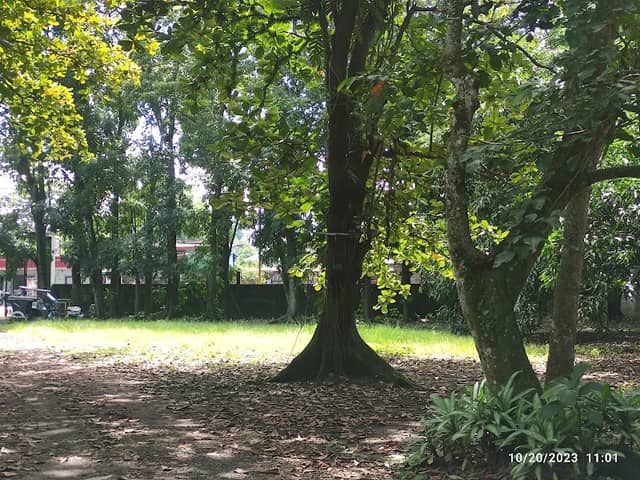Calupitan Compound - Image 2