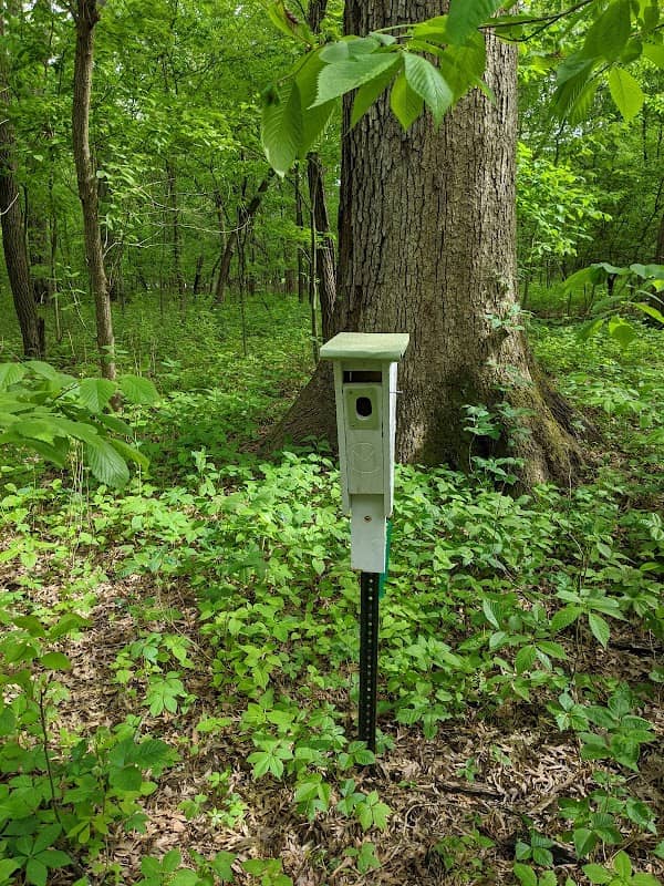 Julius J Knobeloch Woods Nature Preserve - Image 1