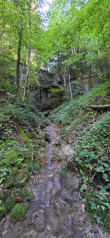 Wasserfall - Image 1