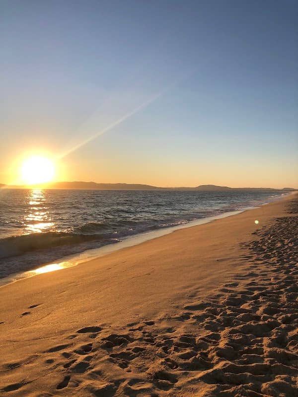 Comporta - Image 1