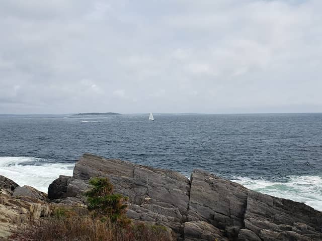 Androscoggin Riverside Trail Trailhead - Image 2