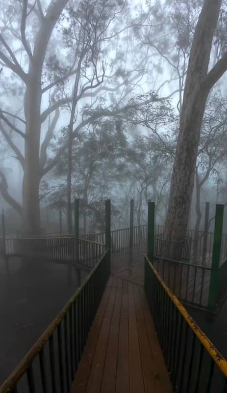 Mist point - Image 1
