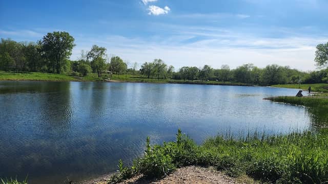 Rush Creek Conservation Area - Image 2