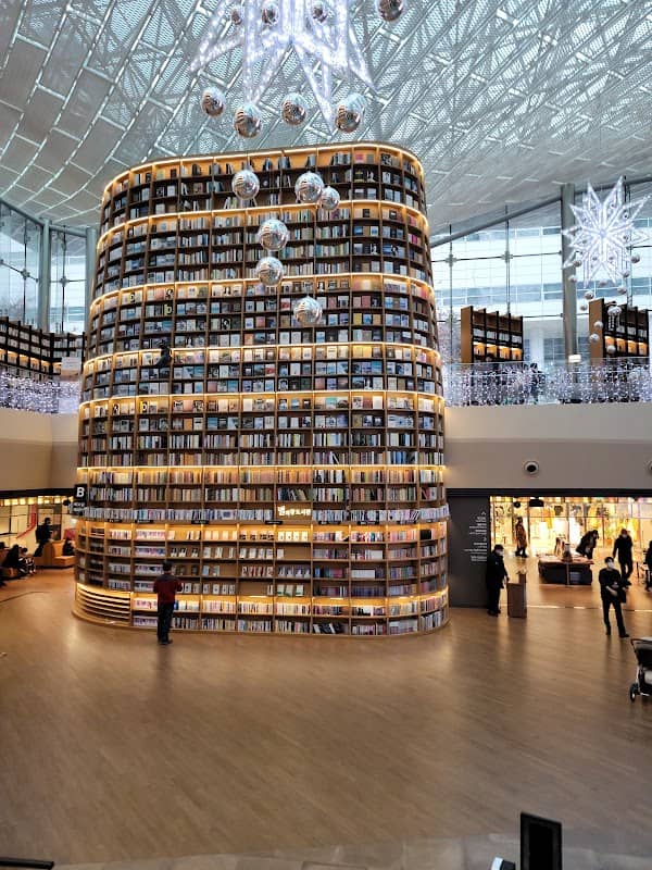 Starfield Library - Image 2