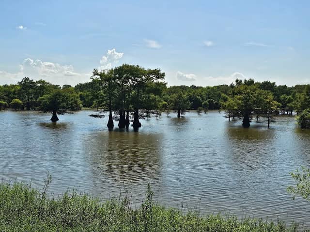 Trinity River National Wildlife Refuge - Image 3