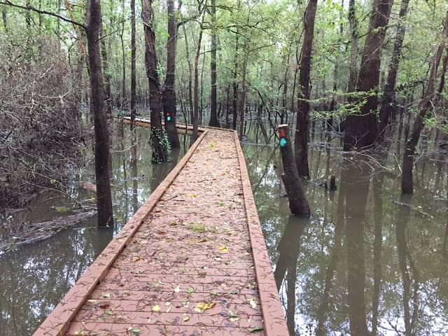 Trinity River National Wildlife Refuge - Image 2