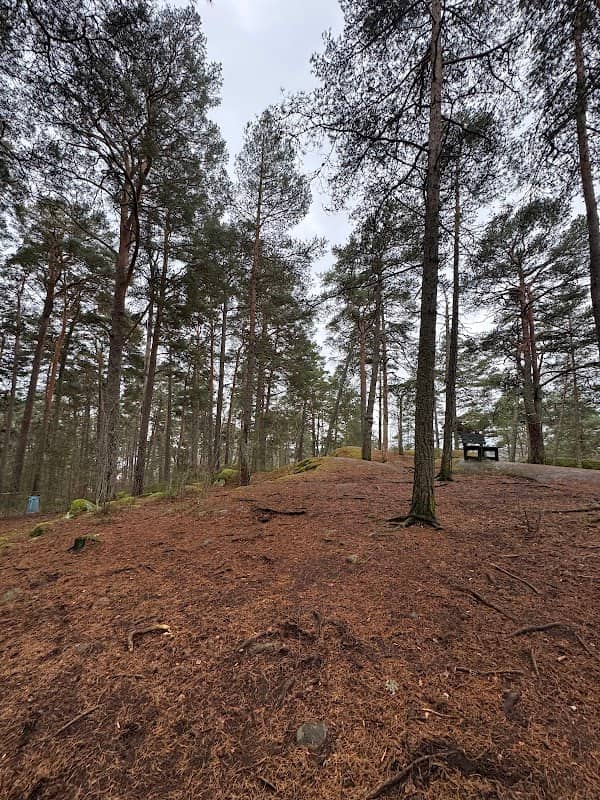 Hundrastgård Brännbo - Image 1