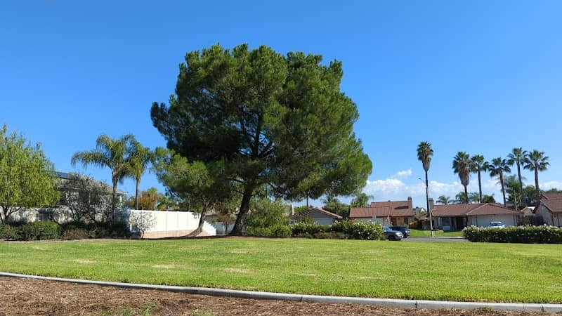 Carson Park - Image 3