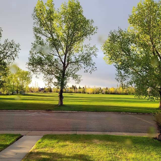 Parkwood Park - Image 1
