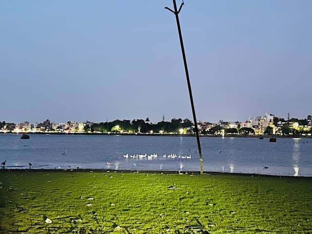 Bird Point - Image 2
