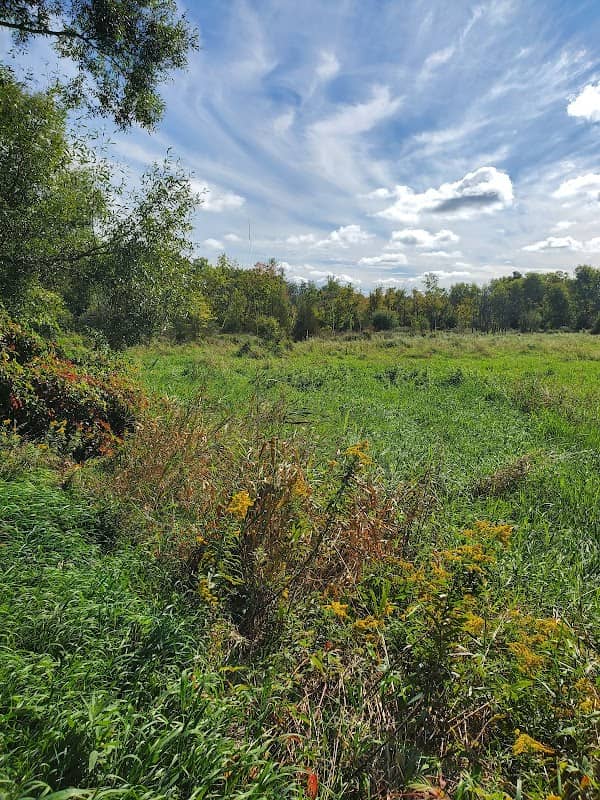 Oak Ridges Trail - Image 2