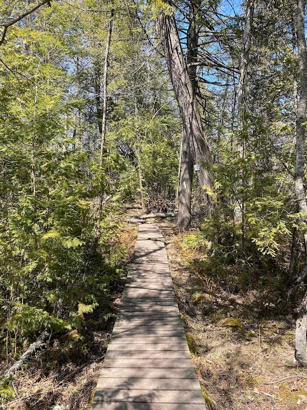 Oak Ridges Trail - Image 1
