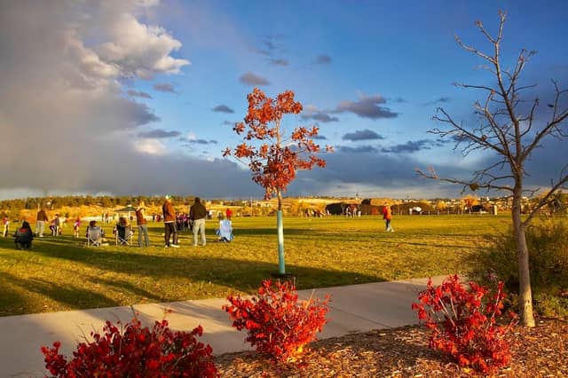Salisbury Regional Park - Image 1