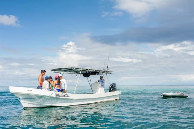 Sunset Tours - Image 3