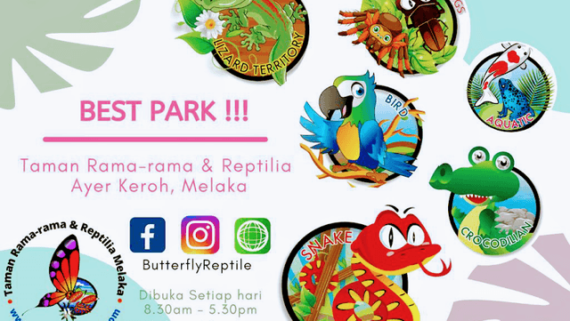 Melaka Butterfly & Reptile Sanctuary - Image 1